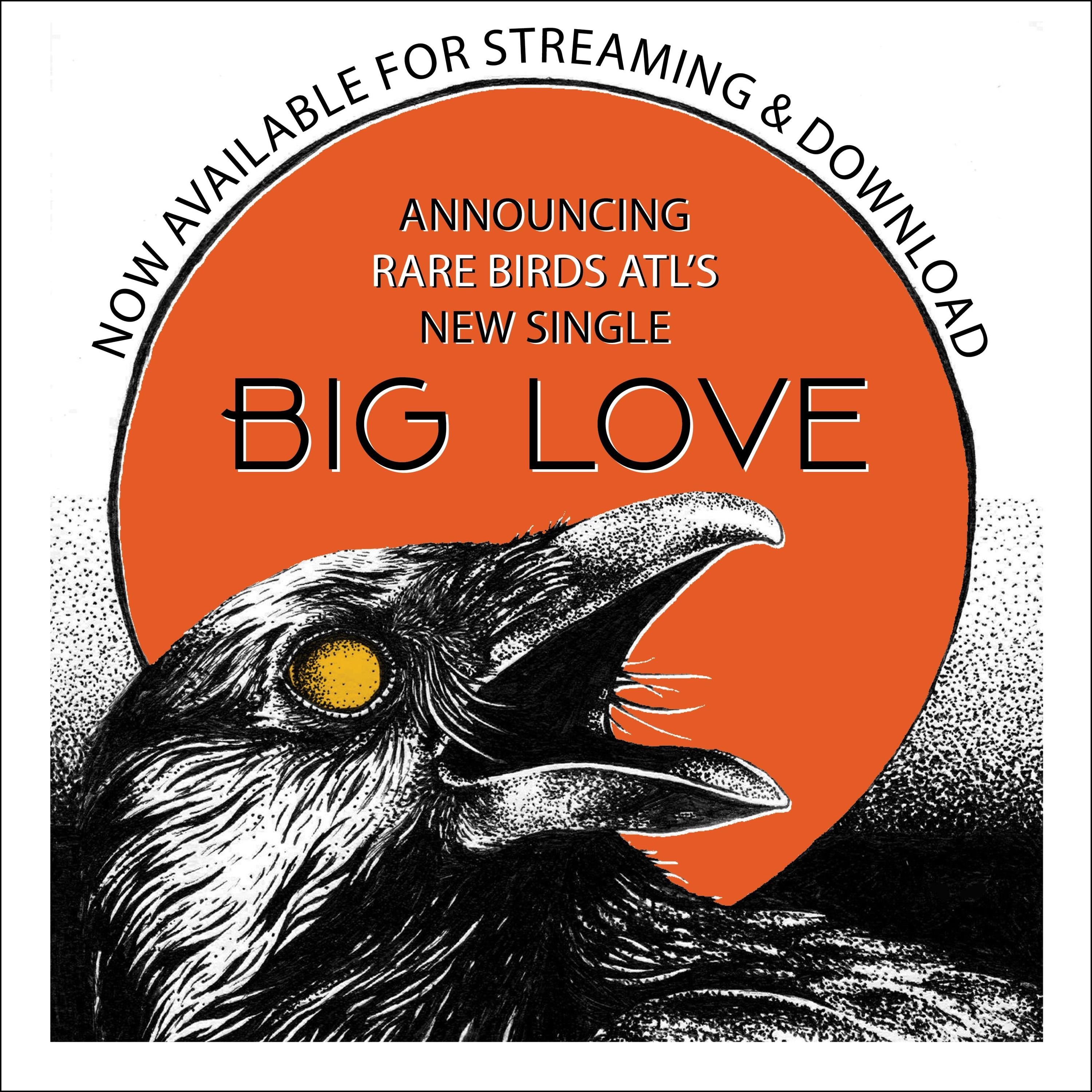 Big Love - Single
