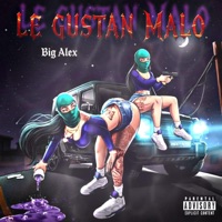 Le gustan malo - Single - Big Alex