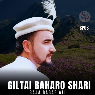 Giltai Baharo Shari (feat. Raja Babar Ali) - Single