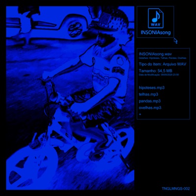 hipoteses_telhas_pandas_ovelhas.wav - Single