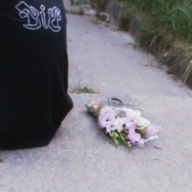 знову напартачив дзен