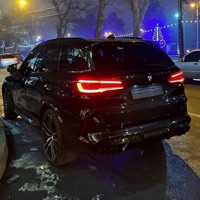 Megalodon - Single - SEVENSPEED