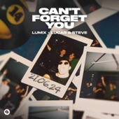 Can't Forget You artwork
