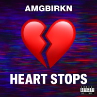Heart Stops (feat. Krowdexx) [Summer Hit] - Single - AMGBIRKN
