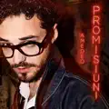 Promisiuni