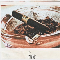 This is not an intro. (Raw Version) - Single - Papi Love