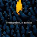 Señora tristeza