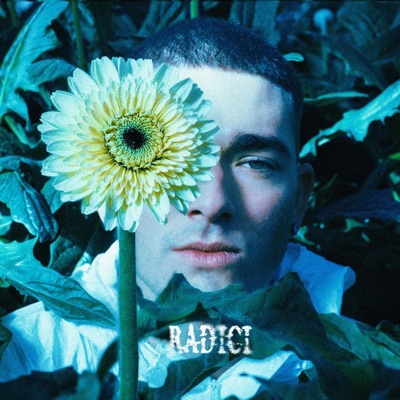 Radici - Single