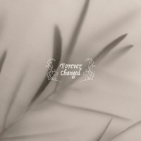 Forever Changed (feat. Rachel Halbach) - Single - Alabaster Co.