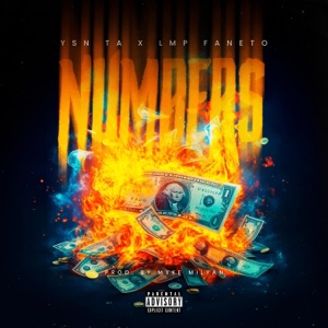 Numbers