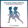 Idin Gorji, EyeNaz & Fabio Vee - How Deep Is Your Love