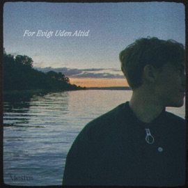 Kontrol Mestus & Rohlffy