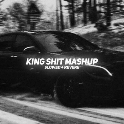 BARATO NATION - King Shit Mashup (Slowed + Reverb)