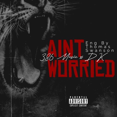 Ain't Worried (feat. DK) - Single