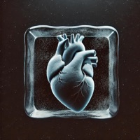 COLD - Single - Kasha