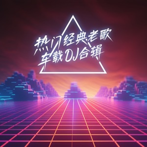 热门经典老歌车载DJ合辑