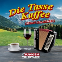 Schau mal herein - Single - Die jungen Zillertaler