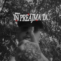 IN PREAJMA TA - Single - Endroo