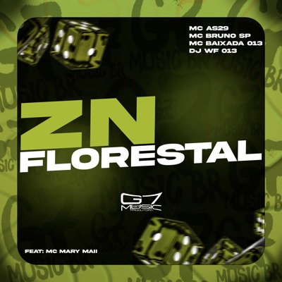 Zn Florestal (feat. MC MARY MAII) - Single