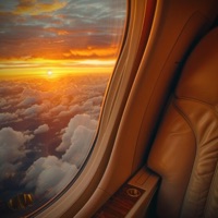 No Reservations (feat. Bingx) - Single - RO Marian