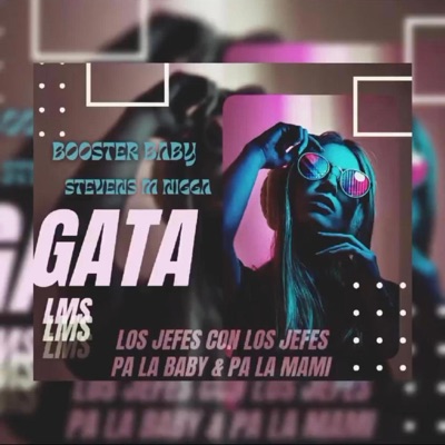 MI GATA (feat. Stevens M Nigga) - Single