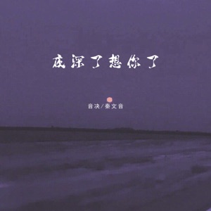 夜深了想你了 (伴奏)
