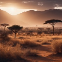 Seize the Day (feat. Mark Digital) - Single - Choirs of Africa