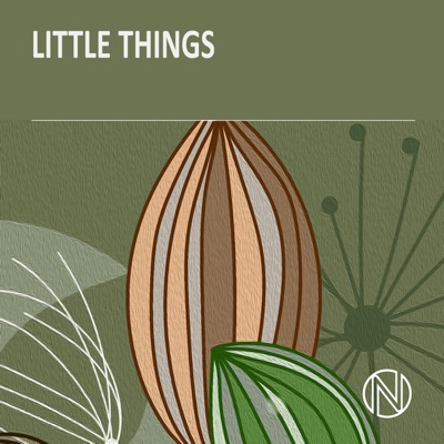Little Things - EP