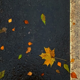 У Ноггано Депрессия CRY1968