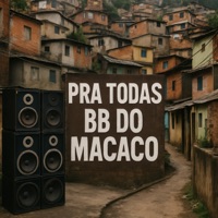 Pra Todas Bb do Macaco - Single - MC MENORCL, Dj Emige & Dj GB Souza 22