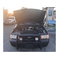 CHP Bust (feat. Mack Maine & The White House Oval Office) - Single - Yamano