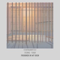 Prisoner in My Skin - Single - Copaxetic, yung van & screwyounick