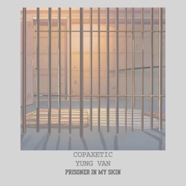 Prisoner in My Skin Copaxetic, yung van & screwyounick