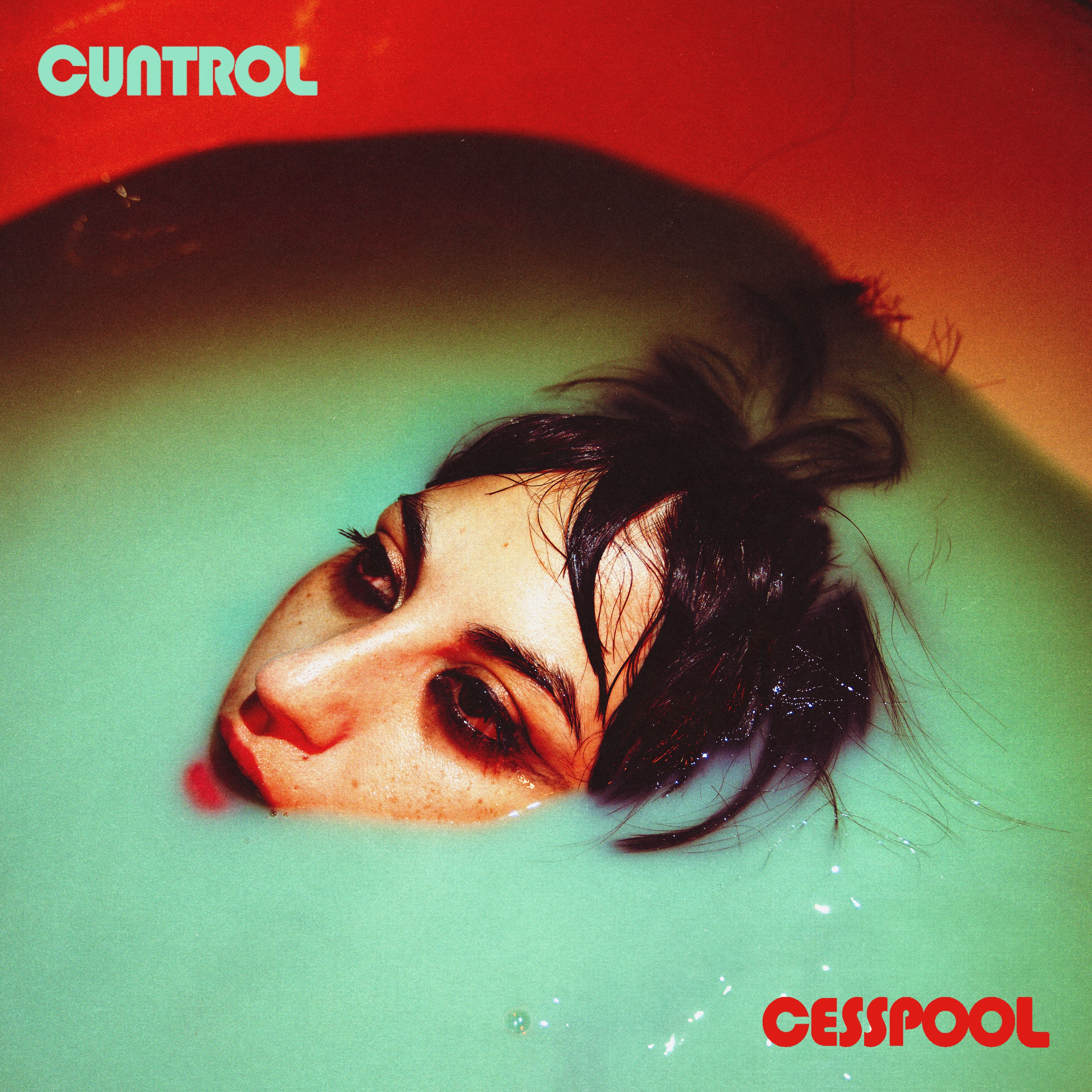 Cesspool - Single