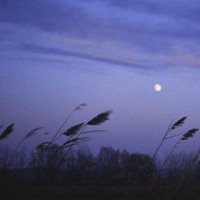 aspiration - Single - n1wream