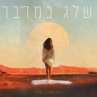 שלג במדבר - Single - לירון פארי & ברג'י