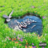 Adore - Single - Lil PAiN