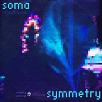 Symmetry - Single - soma