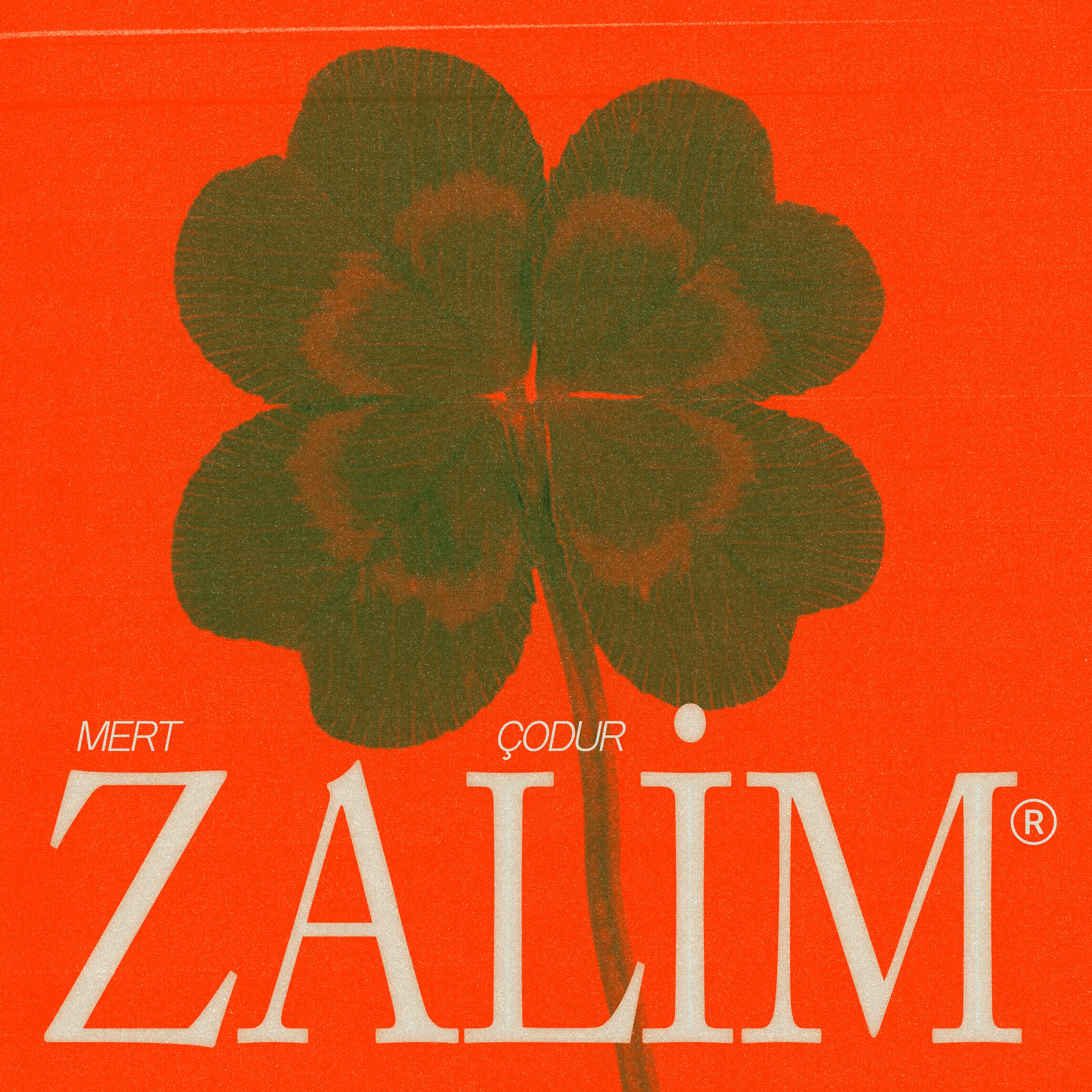 zalim - Single