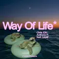 Way Of Life