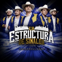 Desarrollando (En Vivo) - La Estructura De Sinaloa