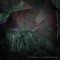 Sentiments (Echoberyl Remix) - Antipole & Paris Alexander lyrics