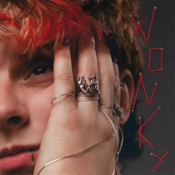 WONKY  cover art