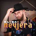NEVJERA
