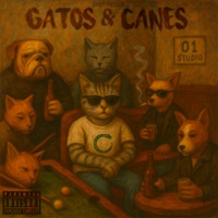 Gatos & Canes - Cikeer & B-nario