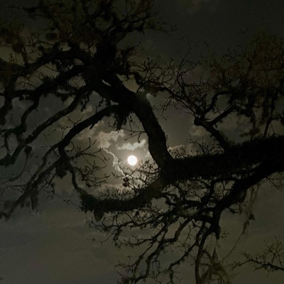 WALK THRU SHIT - Single