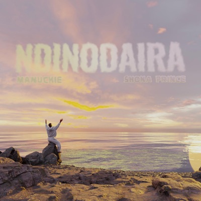 Ndino Daira Pt. 2 - Single
