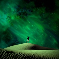 New Shandis - Single - The Groovist