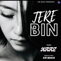 Tere Bin (feat. Naaz) - Single - Kr Wahi