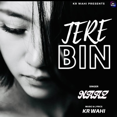 Tere Bin (feat. Naaz) - Single